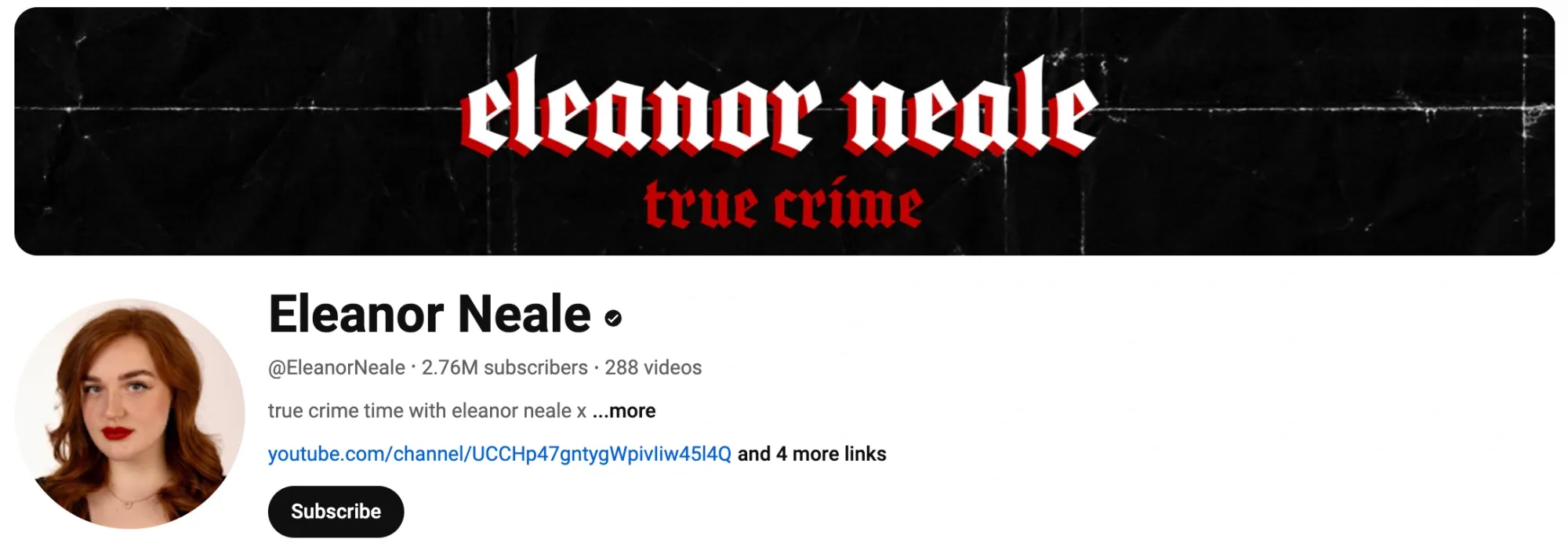 true crime youtuber