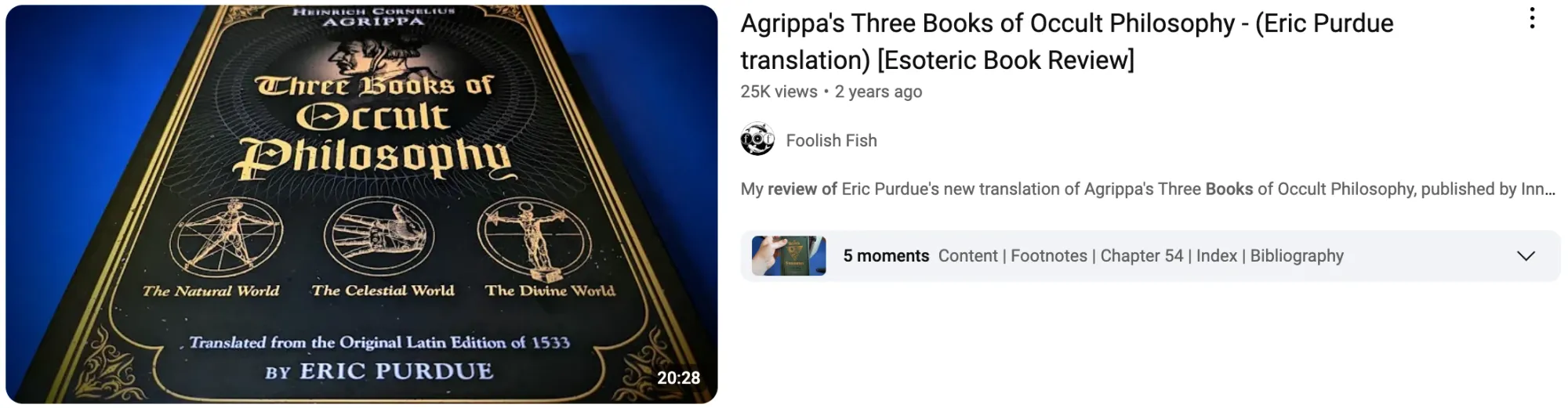 A faceless YouTube video summary of a popular book with cover art and key points highlighted on the screen.