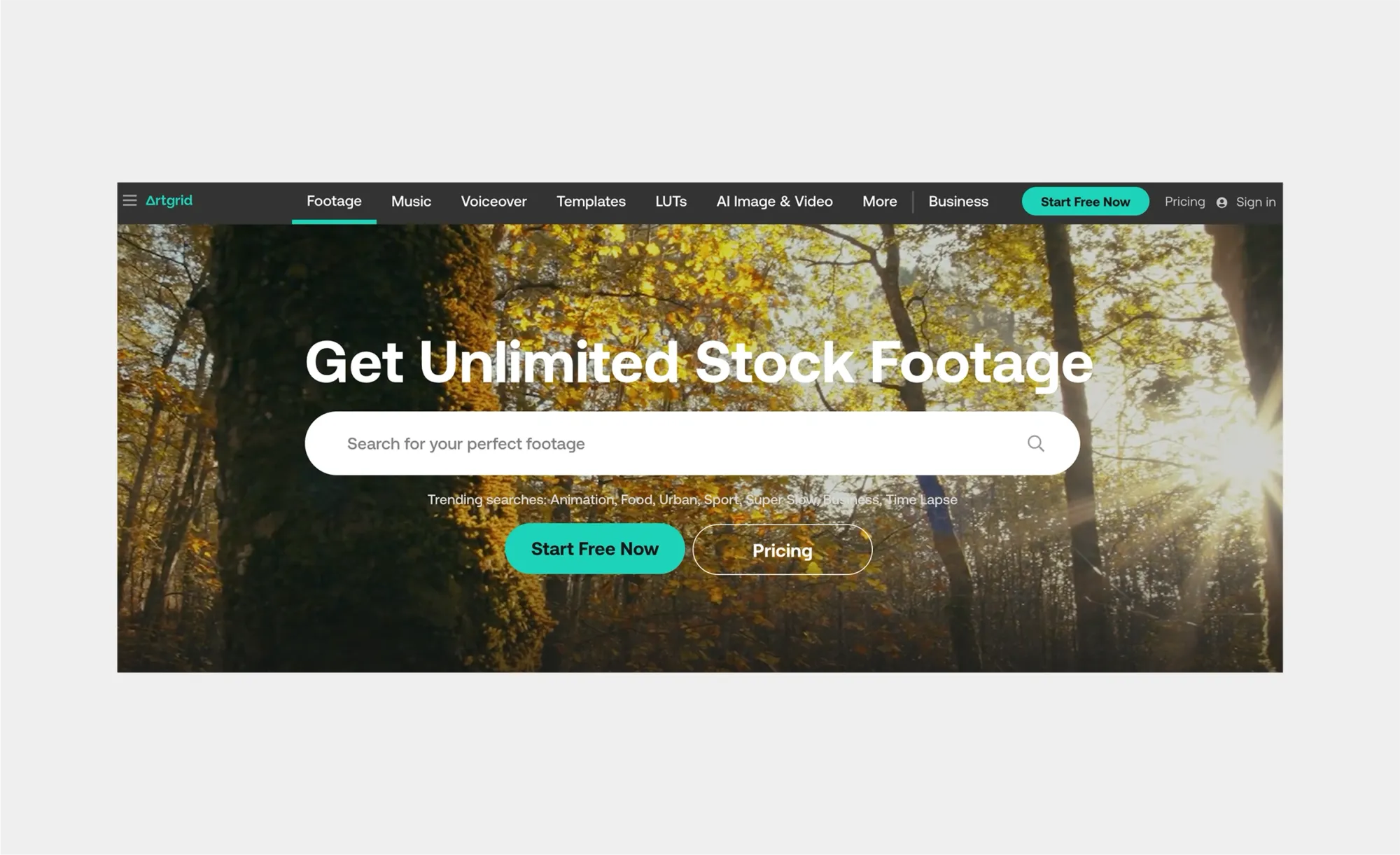 where to find stock videos for free