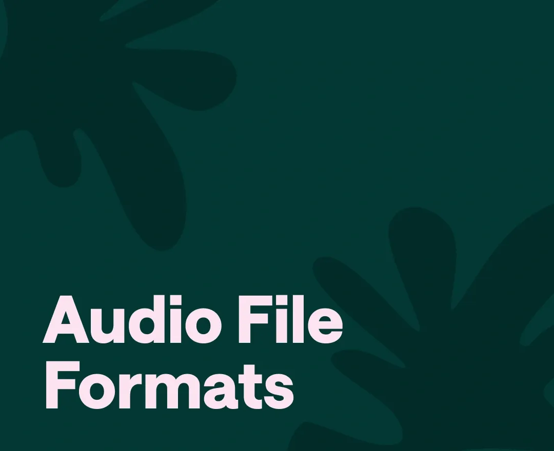 Types of Audio files