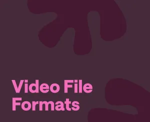 Video Formats: Full Guide to All Types of Video File Formats
